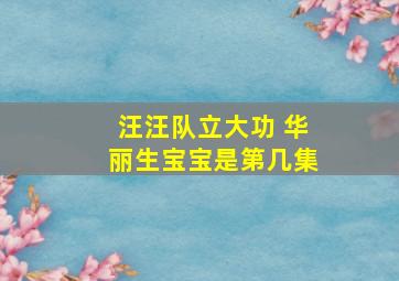 汪汪队立大功 华丽生宝宝是第几集